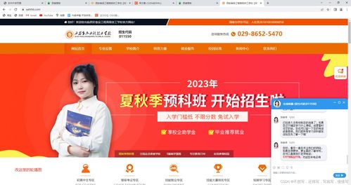 食品移動(dòng)端,pc端,加輪播圖